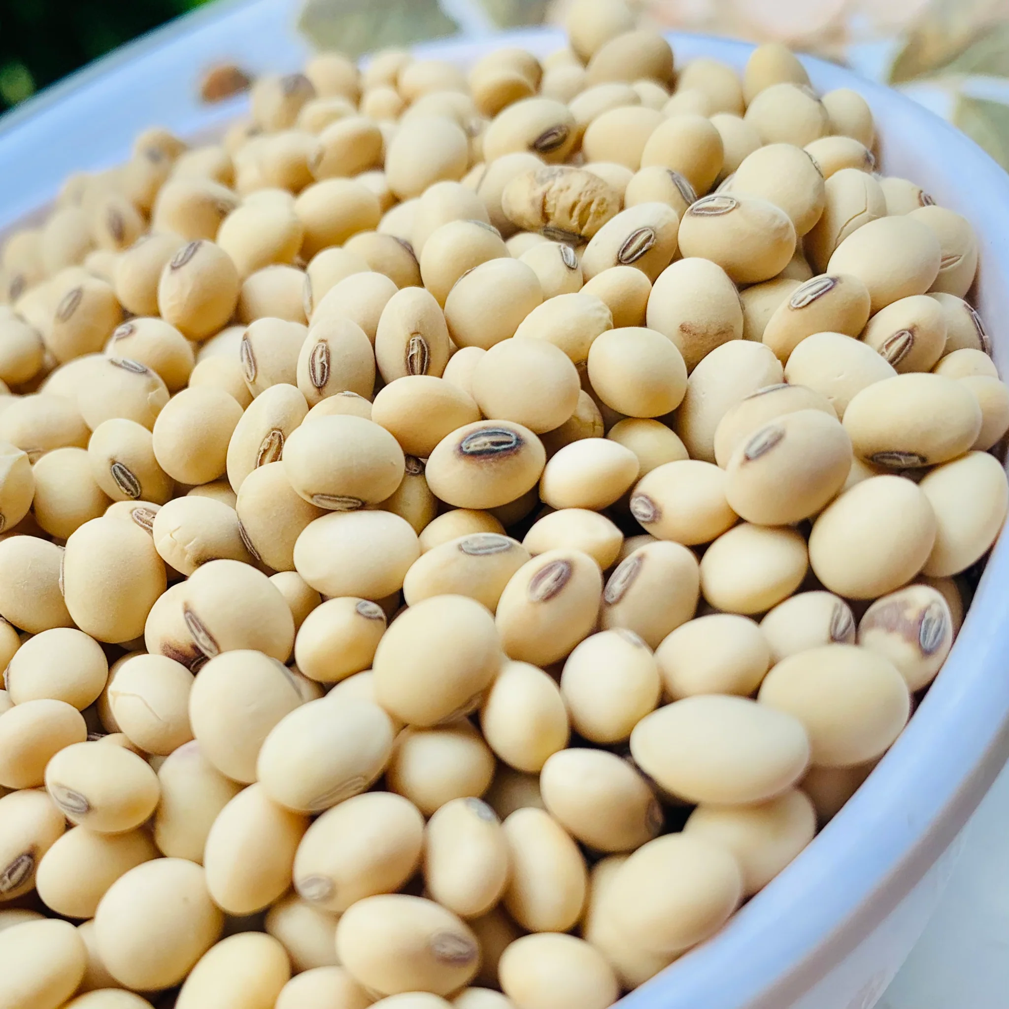 Beans
