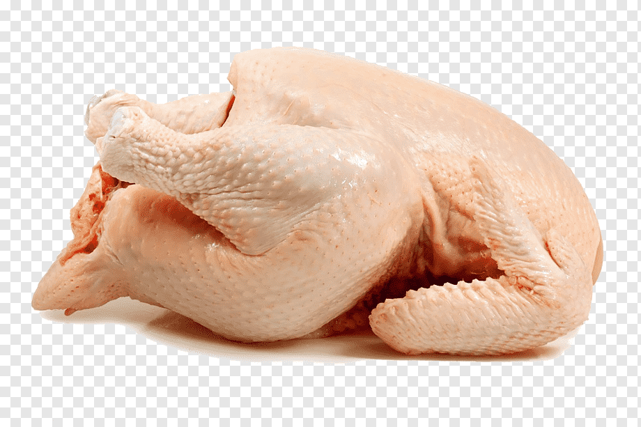 Poultry-Broiler Chicken