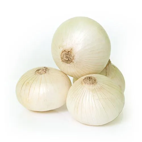 Onion